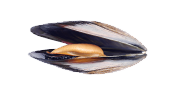 Μύδια | Lovefish